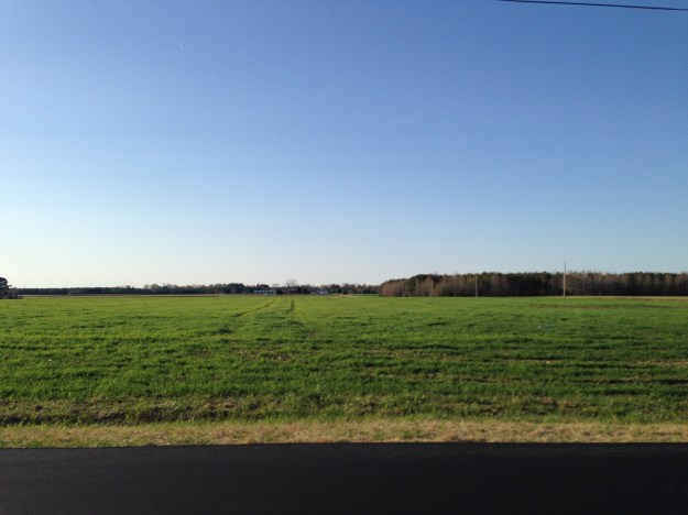 Coastal Carolina Farmland near Wilson, NC